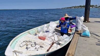 Mujeres pescadoras piden reconocimiento en primer encuentro nacional en Campeche