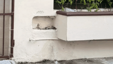 Nueva modalidad de robo deja sin medidores de agua a familias en Ciudad del Carmen