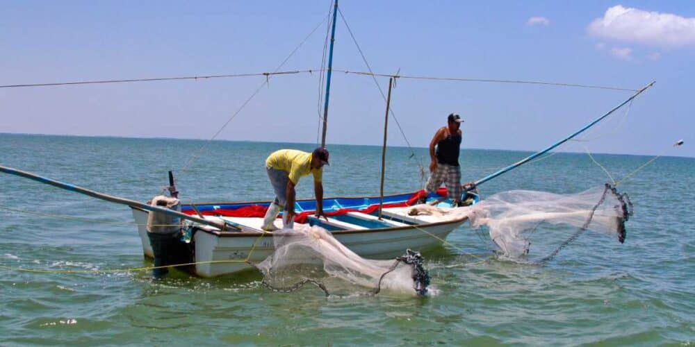 Pescadores de Campeche temen por pesca desenfrenada