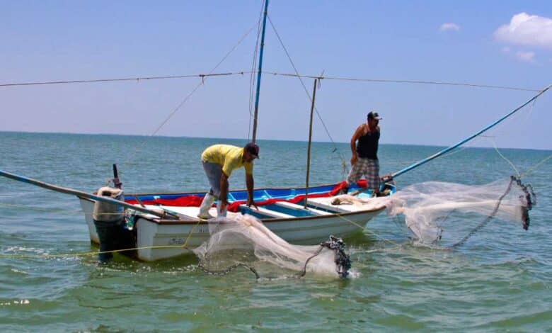 Pescadores de Campeche temen por pesca desenfrenada
