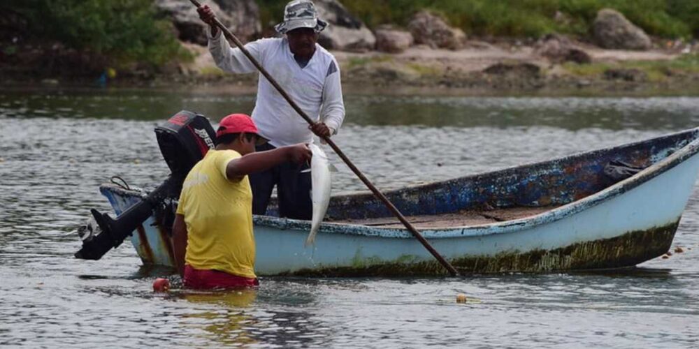 Pescadores de Carmen en crisis piden apoyo ante desplome en capturas