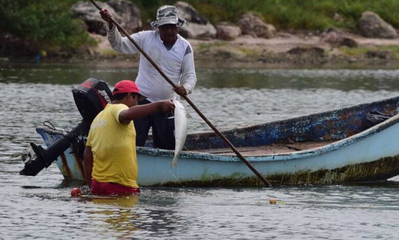 Pescadores de Carmen en crisis piden apoyo ante desplome en capturas