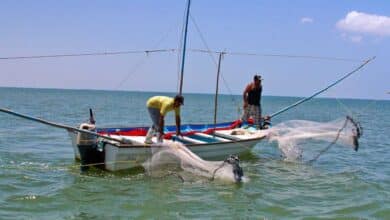 Preocupa la pesca ilegal en Campeche