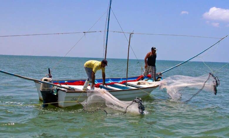 Preocupa la pesca ilegal en Campeche