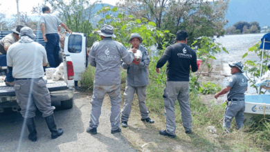 Con el fin de reforzar las acciones de atención ante la emergencia hidrometeorológica, incrementó el despliegue de personal, con la participación de más de 121 brigadistas, que operan 84 equipos especializados en atención de emergencias en las zonas con más afectaciones.