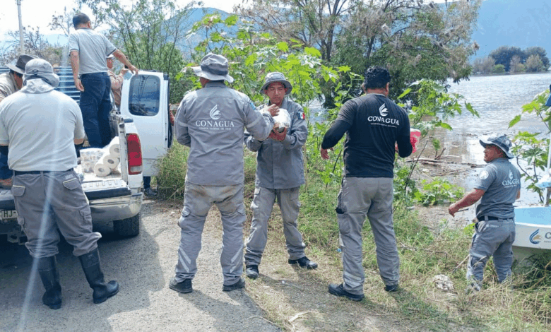 Con el fin de reforzar las acciones de atención ante la emergencia hidrometeorológica, incrementó el despliegue de personal, con la participación de más de 121 brigadistas, que operan 84 equipos especializados en atención de emergencias en las zonas con más afectaciones.
