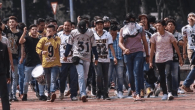 El término "porro" describe a grupos de choque que operan dentro y en las inmediaciones de la Universidad Nacional Autónoma de México (UNAM) y otras instituciones de educación superior en México. Su existencia se remonta a mediados del siglo XX, evolucionando de grupos de animación deportiva a ser utilizados con fines de control político y represión estudiantil.