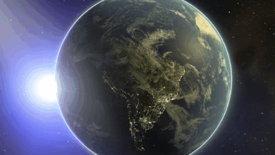 Con cámaras 4K y asistencia de inteligencia artificial, la señal combina ciencia, contemplación y entretenimiento digital, disponible todo el día.