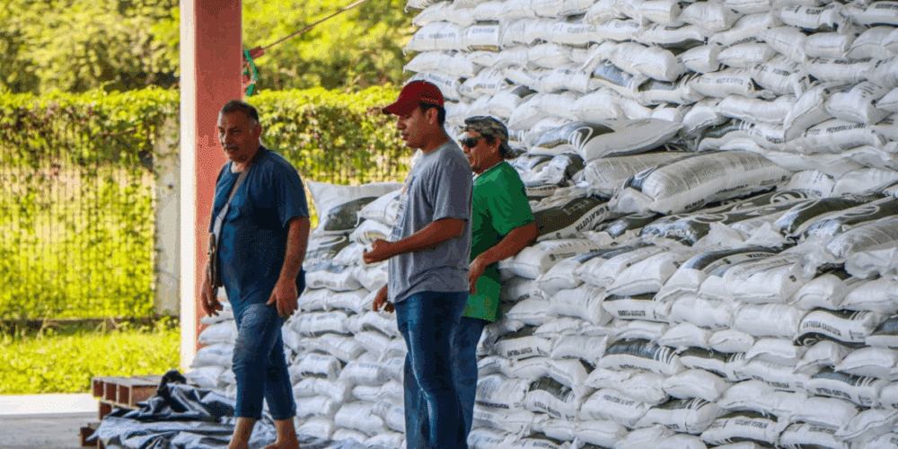Rehabilitan caminos saca cosechas y fortalecen la economía rural en Campeche