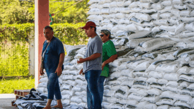 Rehabilitan caminos saca cosechas y fortalecen la economía rural en Campeche