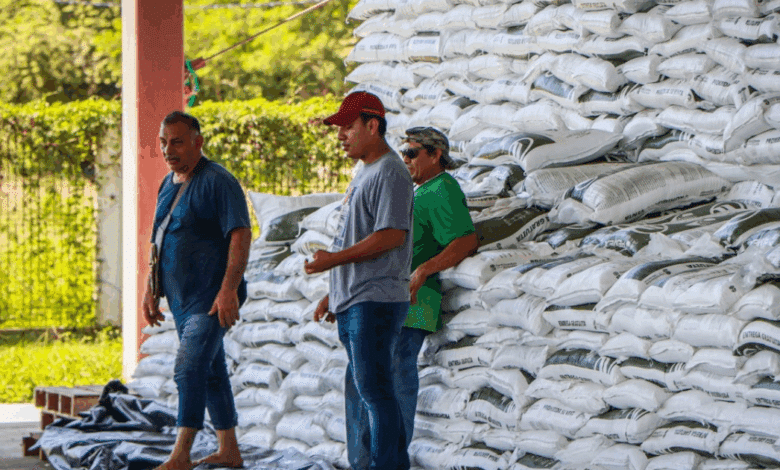 Rehabilitan caminos saca cosechas y fortalecen la economía rural en Campeche