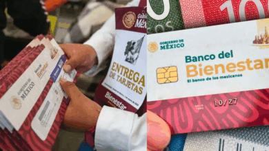 Revelan el calendario de pagos tentativo de los programas de Bienestar para noviembre