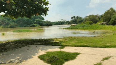 Ríos de Palizada permanecen bajo control, pese a recientes crecidas