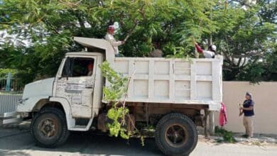 SEDUMOP realiza poda y limpieza en rutas del transporte “Ko’ox”