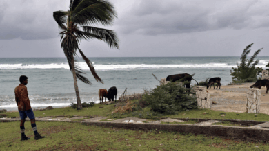 SRE activa atención consular para mexicanos ante impacto del huracán “Melissa” en el Caribe