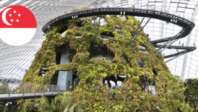 Un paraíso verde en la ciudad La agricultura vertical que transforma a Singapur (Foto por BBVA)