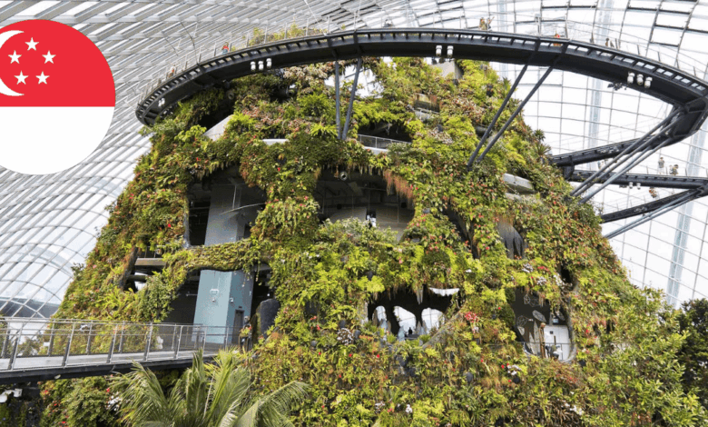 Un paraíso verde en la ciudad La agricultura vertical que transforma a Singapur (Foto por BBVA)