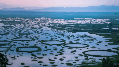 Un viaje al mágico Loktak, el tesoro escondido de la India (Foto por Savaari)