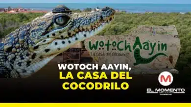 Wotoch Aayin, la casa del cocodrilo