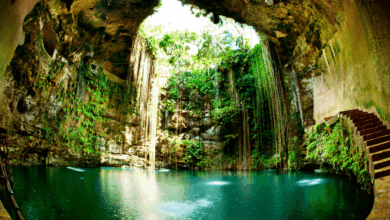 A sólo unos kilómetros de Puerto Morelos se extiende un corredor natural de más de 35 km conocido como la Ruta de los Cenotes. Con más de 60 cenotes entre abiertos, semiabiertos y cavernas, ofrece una combinación perfecta de aventura, descanso y ecoturismo. Entre los imperdibles: Cenote Las Mojarras, Siete Bocas, Boca del Puma, Verde Lucero y La Noria.