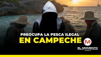 preocupa la pesca ilegal en campeche 2