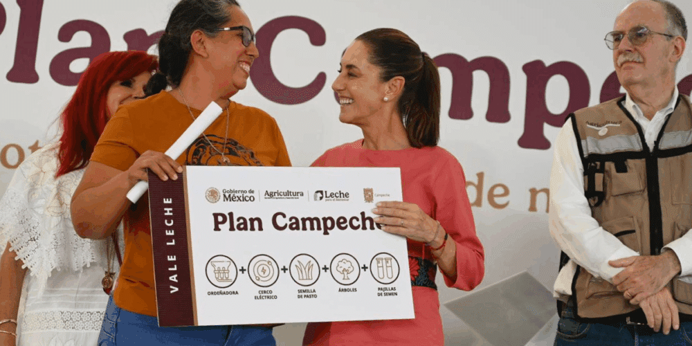 Claudia Sheinbaum presenta Plan Campeche para incrementar la producción de leche, arroz y carne