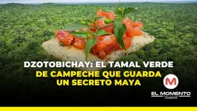 Tamal verde,Dzotobichay,Secreto may,Dzotobichay: el tamal verde de Campeche que guarda un secreto maya,Campeche