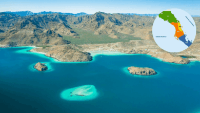 El acuario del desierto Bahía de Concepción, la joya oculta de Baja California Sur