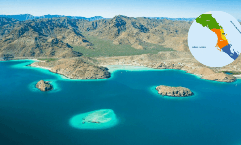 El acuario del desierto Bahía de Concepción, la joya oculta de Baja California Sur