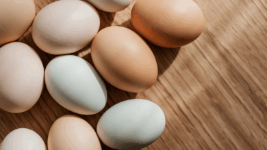 El consumidor mexicano impulsa una revolución ética en la industria del huevo