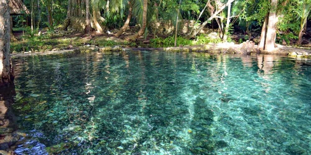 El encanto oculto de Hampolol Ojo de agua que guarda la frescura de Campeche