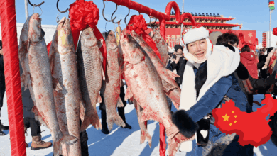 El hielo cobra vida La milenaria Pesca de Invierno en el Lago Chagan, el secreto mejor guardado de China