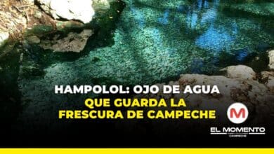 Hampolol Ojo de agua que guarda la frescura de Campeche