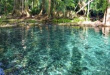 Ich Ha Lol Xaan, el paraíso escondido entre la selva de Campeche