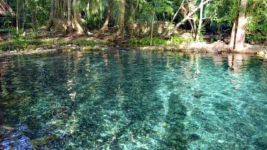 Ich Ha Lol Xaan, el paraíso escondido entre la selva de Campeche