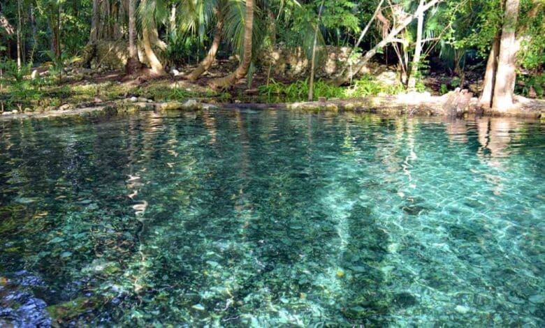 Ich Ha Lol Xaan, el paraíso escondido entre la selva de Campeche