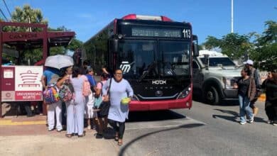 Inician trabajos para instalar paraderos del sistema de transporte Ko’ox