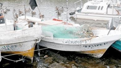 La Secretaría de Marina cierra puertos en Campeche ante un “Norte fuerte”; alertan oleaje de hasta tres metros