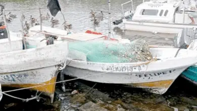 La Secretaría de Marina cierra puertos en Campeche ante un “Norte fuerte”; alertan oleaje de hasta tres metros