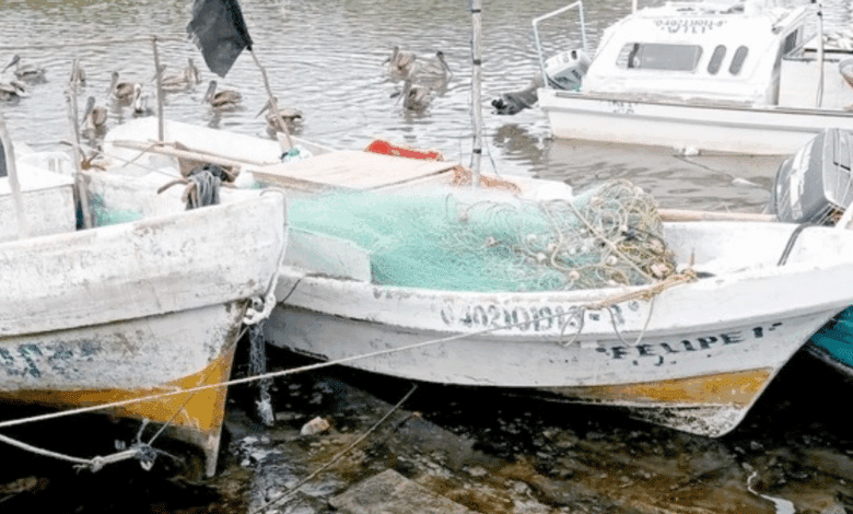 La Secretaría de Marina cierra puertos en Campeche ante un “Norte fuerte”; alertan oleaje de hasta tres metros