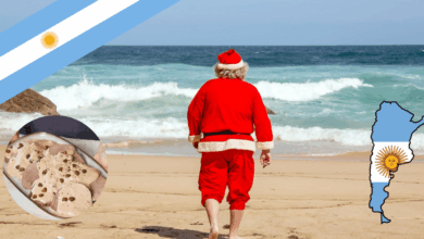 Navidad bajo el sol Vitel Toné y fuegos artificiales, el sorprendente festejo de Argentina (Foto por Online Spanish Classes San Diego Culture & Language Center)