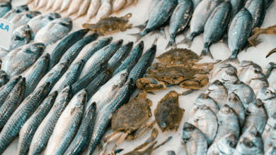 Pescadores de Isla Arena denuncian represión al almacenar combustible para sus embarcaciones