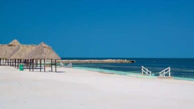 Playa Bonita invita a toda la familia al Encendido del Árbol Navideño