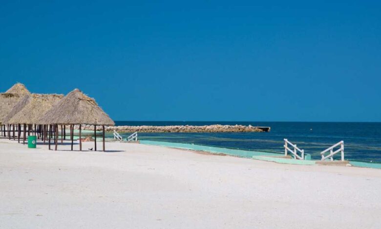 Playa Bonita invita a toda la familia al Encendido del Árbol Navideño