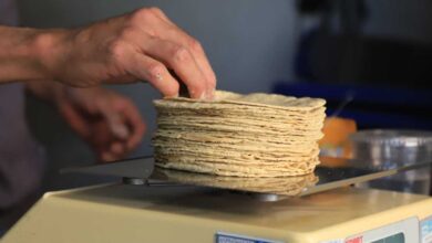 Precio de la tortilla supera los 30 pesos y anticipa aumentos en 2026