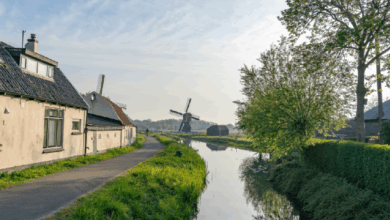 El Ayuntamiento ratifica que no habrá actualizaciones catastrales el próximo año y simplifica trámites mediante reformas a la Ley de Hacienda.