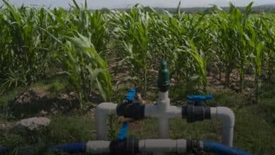 Regularizarán 664 unidades de riego en Campeche