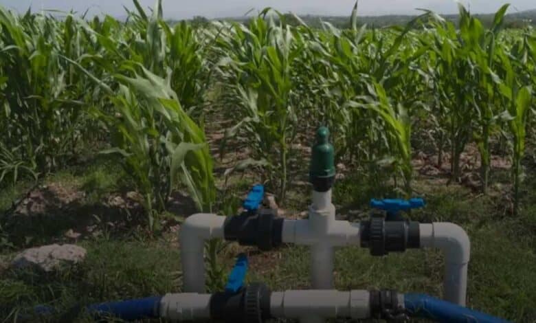 Regularizarán 664 unidades de riego en Campeche