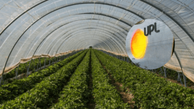 UPL inaugura invernaderos de alta tecnología en México para impulsar cultivos sostenibles 1