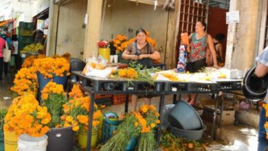 Ventas en Campeche repuntan por fechas de Día de Muertos